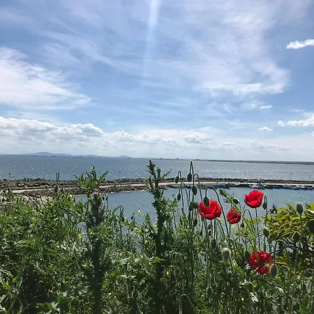 Black Sea Wellnest Lägenhet